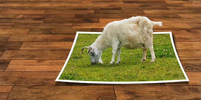 ai+image+editing