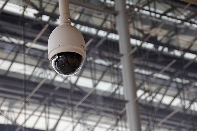security+camera+surveillance