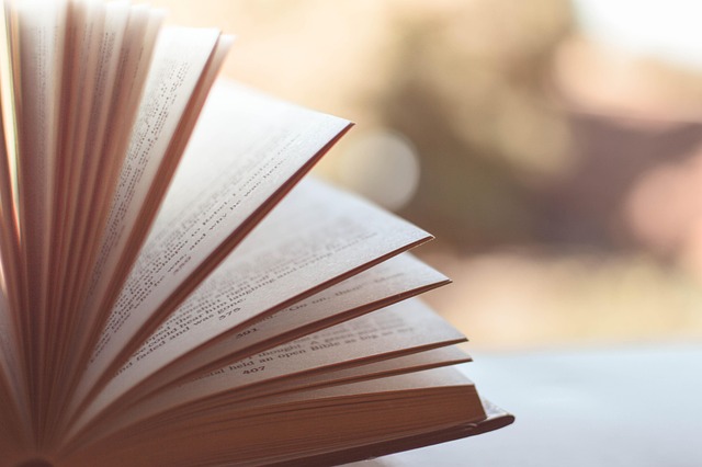 information+literacy+security