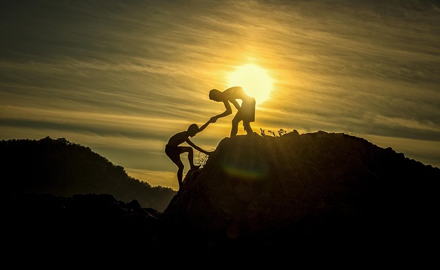 dify+partner+support