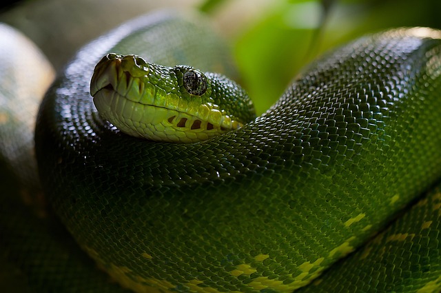 python+debugging+error
