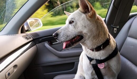 Copilot+ PCとは？AI機能と選び方を徹底解説