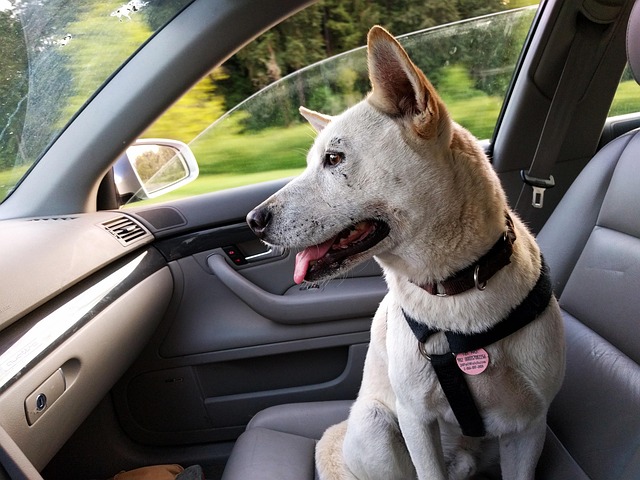 copilot+ai+productivity