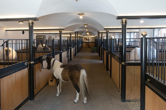 stable+diffusion+commercial