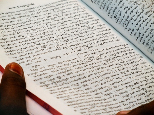 translation+reading+english