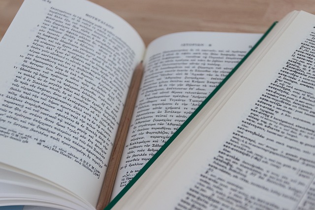 translation+document+editing