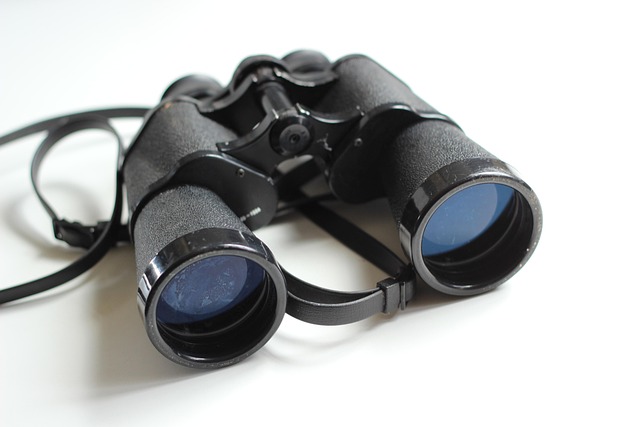 ai+detection+tools