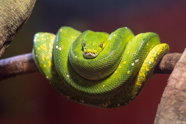 python+programming+string