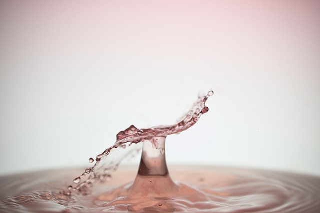 proof+concept+experiment
