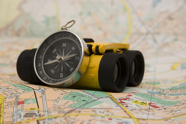 bing+search+travel