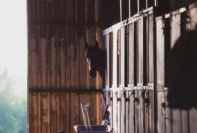 stable+diffusion+models
