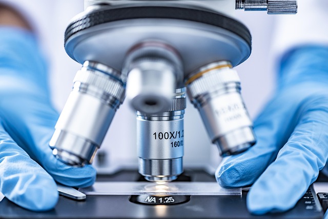 biology+image+analysis
