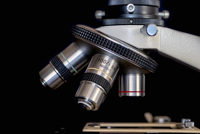 ai+research+tools