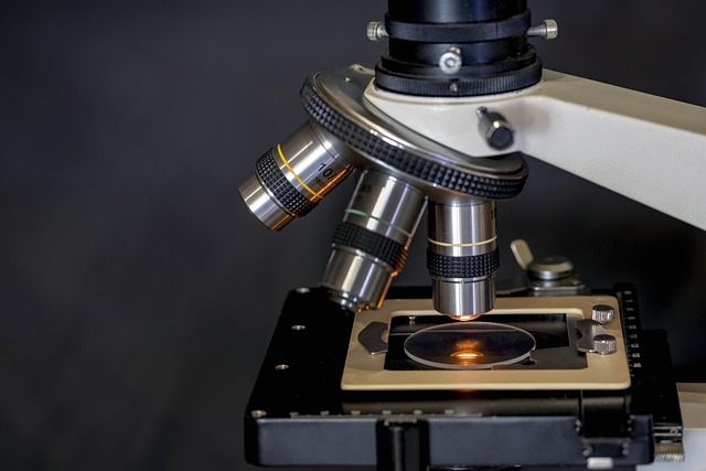 ai+research+tools