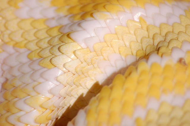 python+troubleshooting+installation