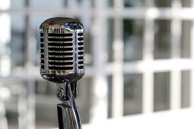 voice+ai+microphone