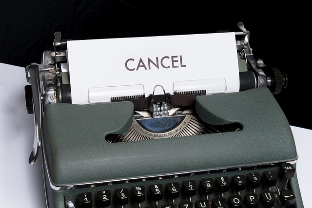 chatgpt+subscription+cancel