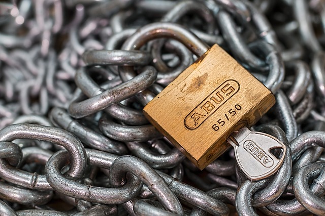 gemini+security+privacy