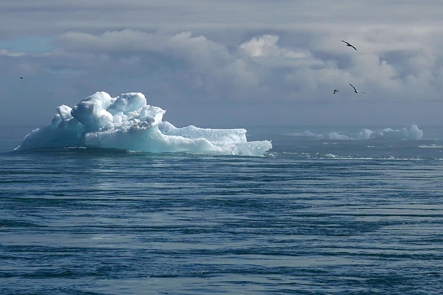 sustainability+environment+climate