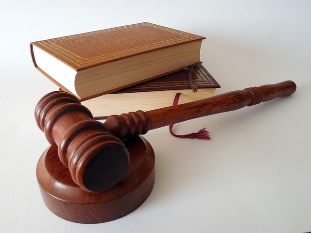 deepseek+legal+terms