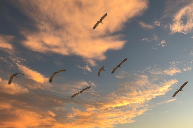 amazon+migration+cloud