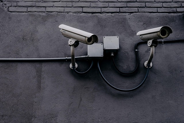 ai+technology+security