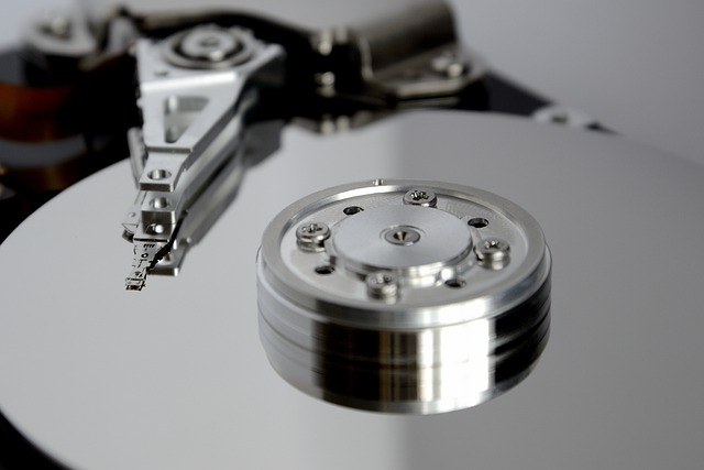 sql+database+query