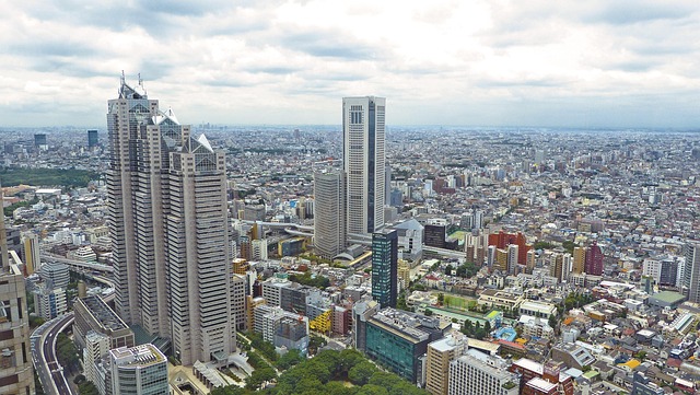 dx+japan+business