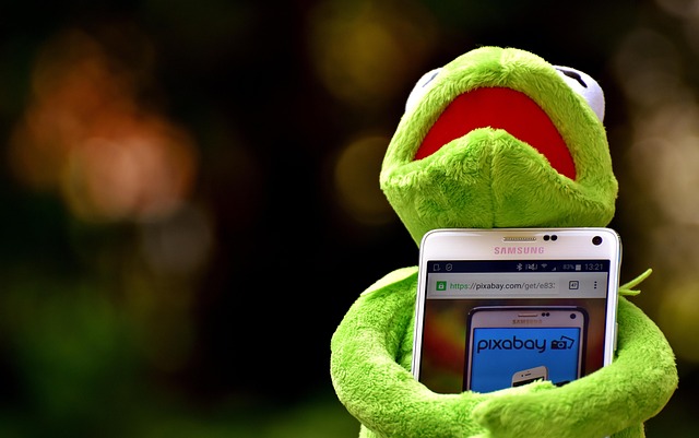 sql+database+query