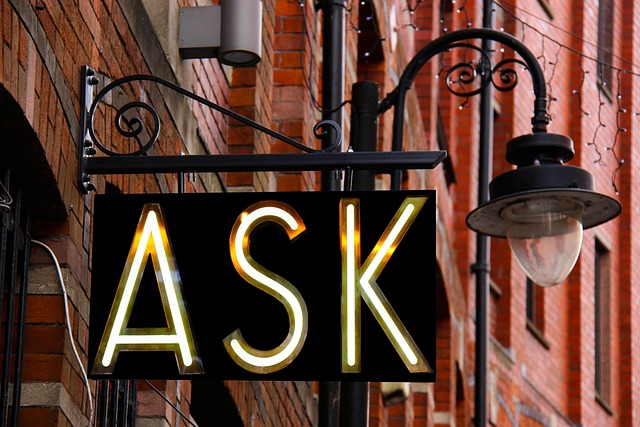 sql+database+query