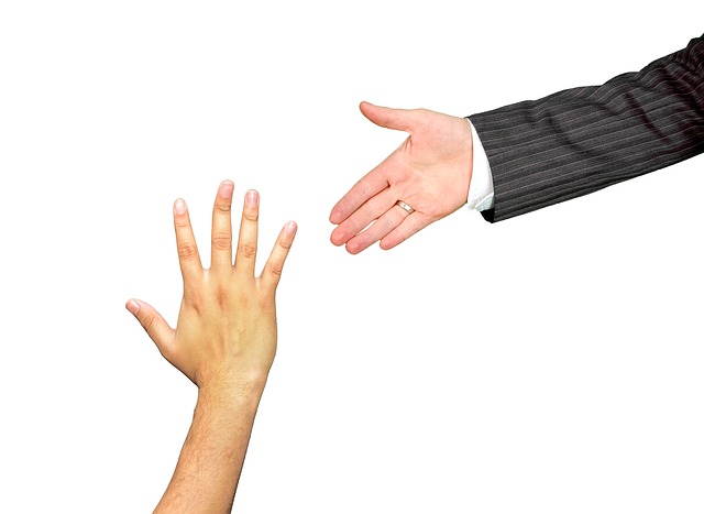 career+coaching+support