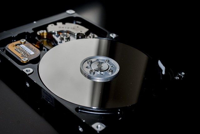 phpmyadmin+mysql+backup