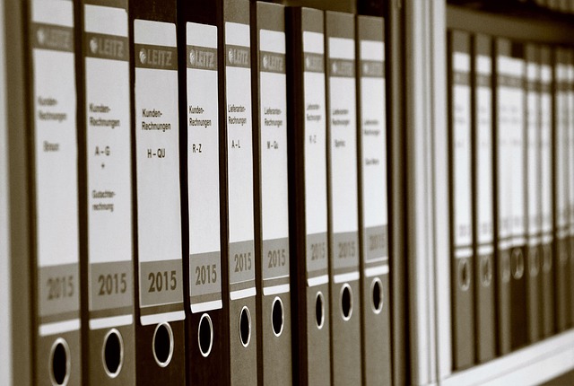 organization+error+management