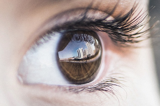 transformer+nlp+vision