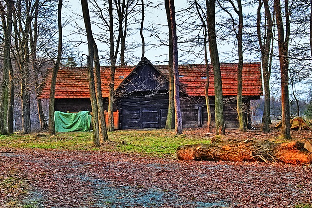 stable+ai+image