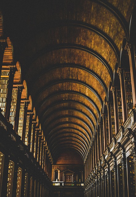react+icons+library