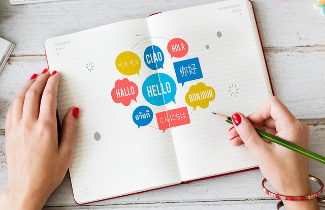 chatgpt+translation+multilingual