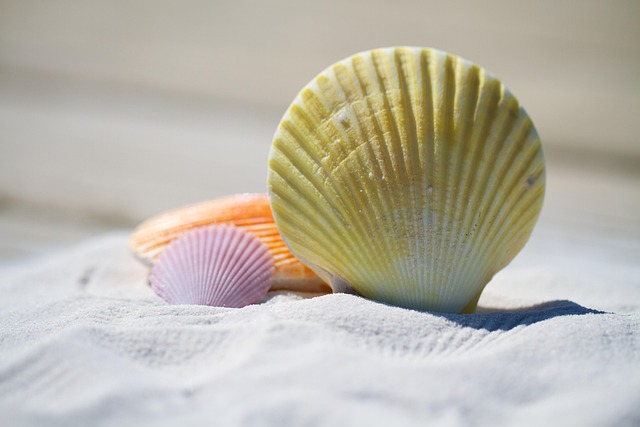 azure+cloud+shell