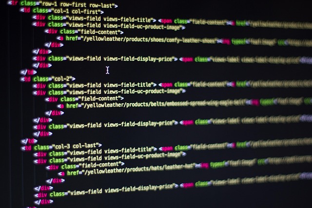 python+web+development