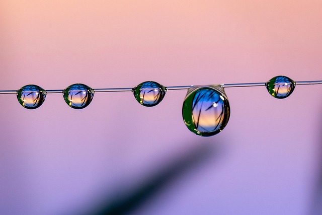 copilot+studio+development