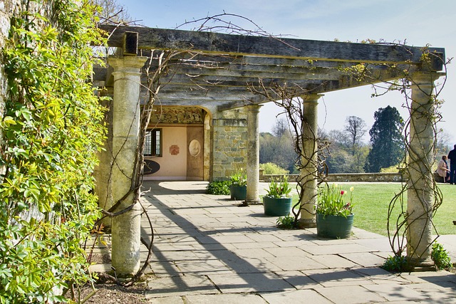 webui+extensions+controlnet