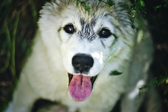 database+update+delete