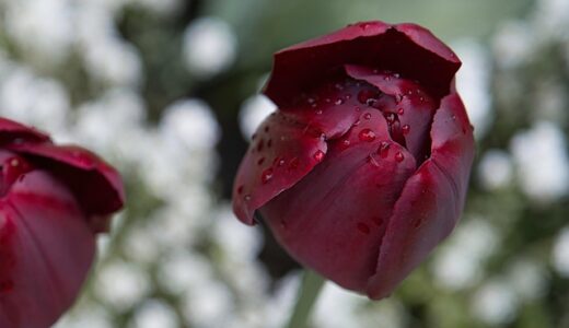 c# 7の新機能を総まとめ：タプル・パターンマッチを実務で活かす