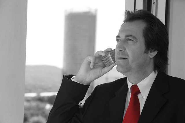 it+consultant+career